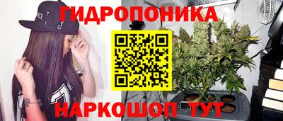 бошки Кулебаки