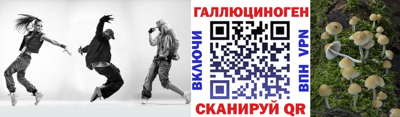 даркнет сайт  Нижневартовск  Галлюциногенные грибы Psilocybe 